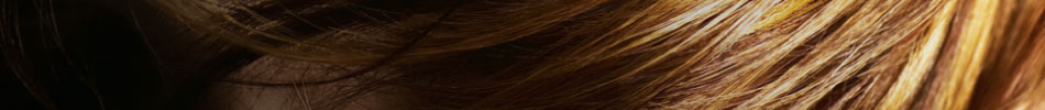 headerimg3.jpg