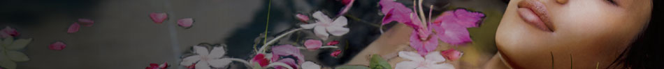 headerimg6.jpg