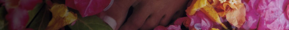 headerimg9.jpg